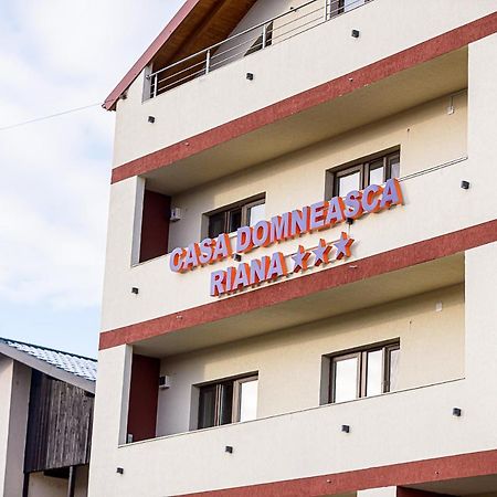 Hotel Casa Domneasca Riana Piteşti Exterior foto